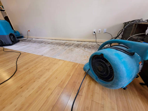 Professional Burst Pipe Water Damage technician working in Lisbon Falls, ME